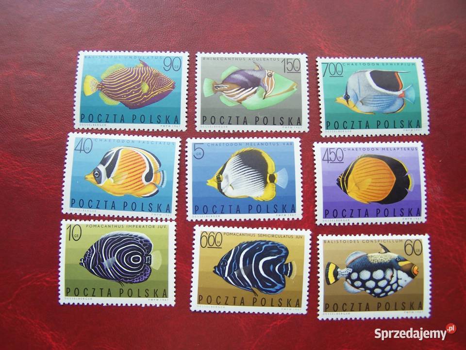 Polska 1967 MNH Mi 174856 Fauna Ryby Tychy