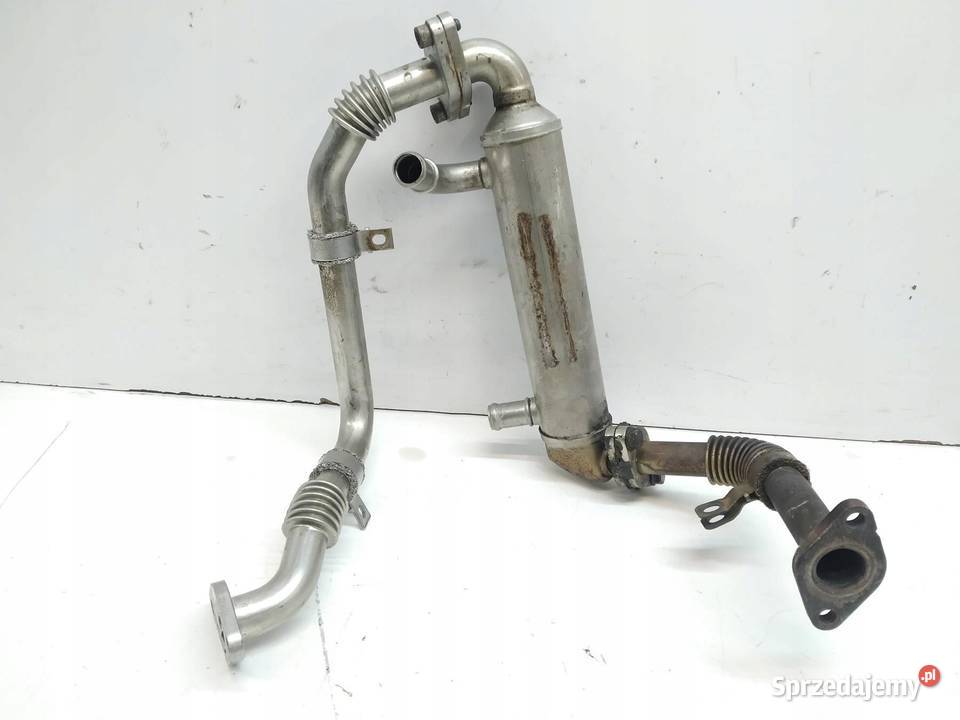 CHŁODNICA SPALIN 076131512F 20 TDI VW Volkswagen Rok produkcji 2016