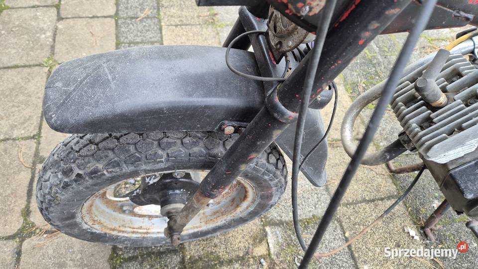 Motorynka stella Hryniewicze