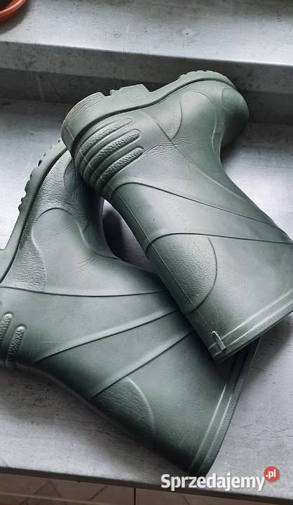 Kalosze damskie 3738 zachodniopomorskie Koszalin sprzedam