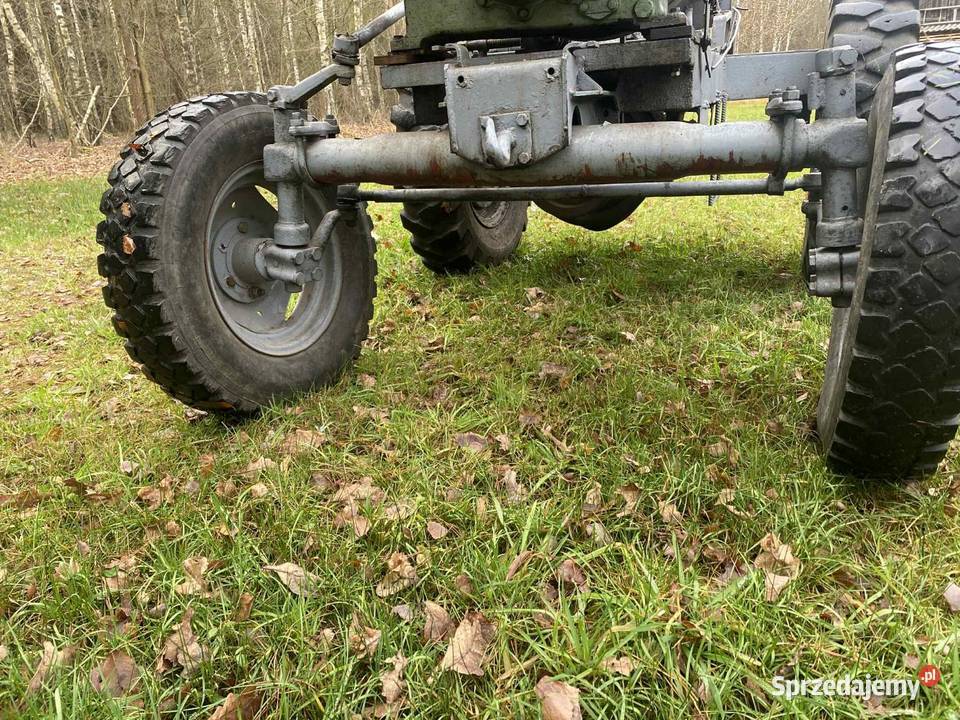 Es sam esiok es 12 Żytno