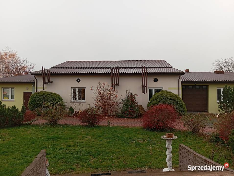 Na wynajem Wylęgarnia Drobiu pisklęta gęsi Osiecza Pierwsza sprzedam