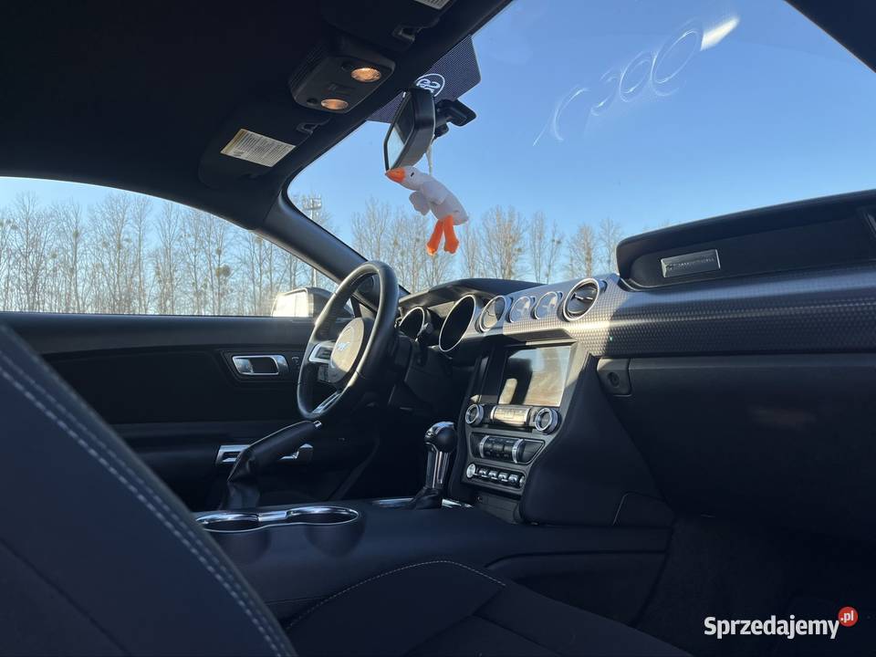 Ford Mustang Mustang