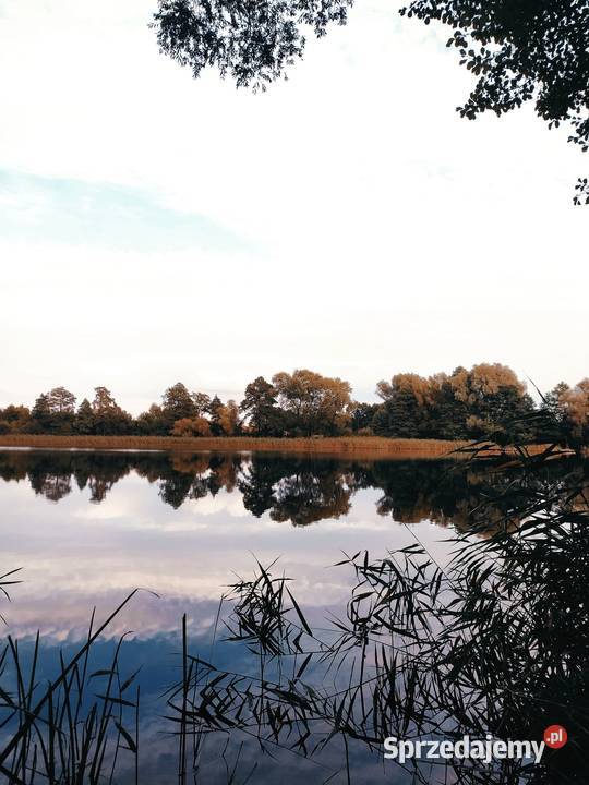 Działka jeziorem w powiecie rypińskim z linią kujawsko-pomorskie Trąbin-Rumunki sprzedam