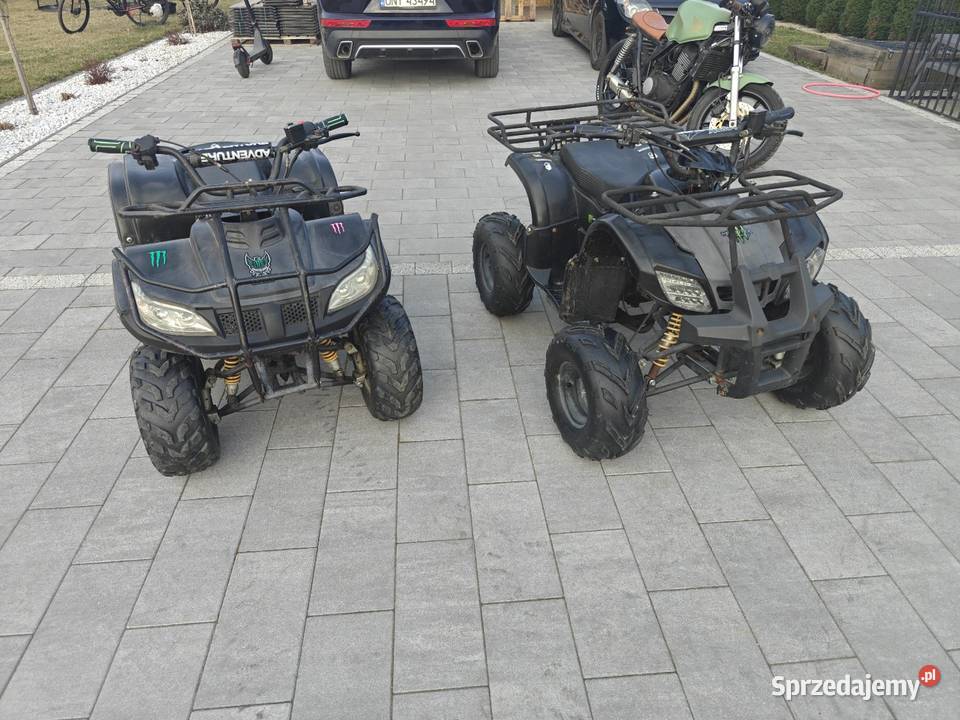 2 X Chiński Quady Korfantów sprzedam