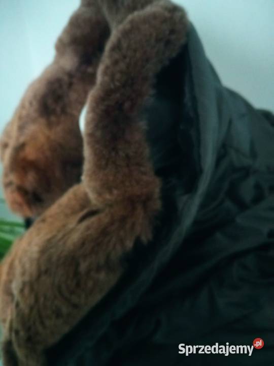 Super damska kurtka puchowa zimowa Peuterey r 42 Osieczna