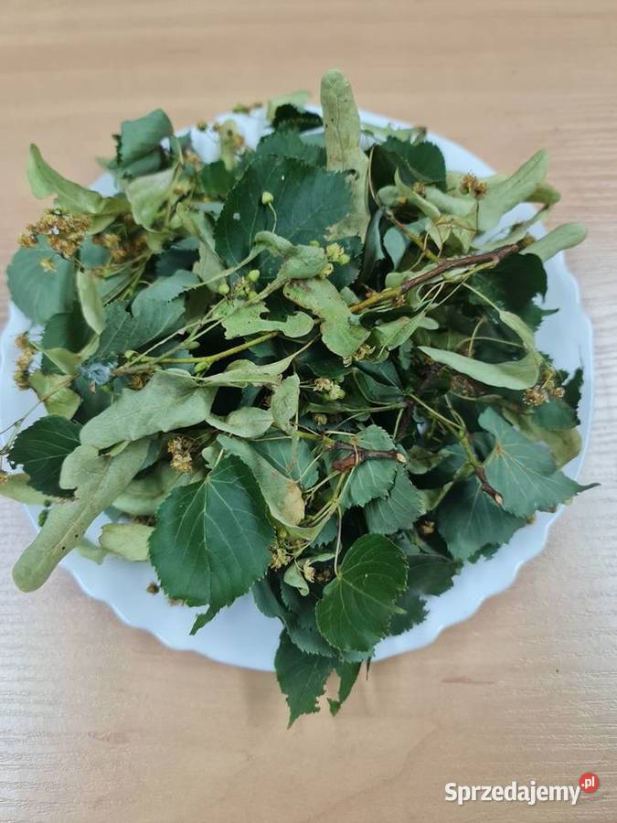 Lipa kwiat liść cięte 50g pzapalna napotna Białystok