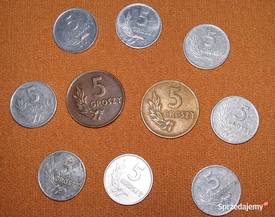 Moneta 5 groszy 1949 1958 1968 1970 1971 Numizmatyka Łódź sprzedam