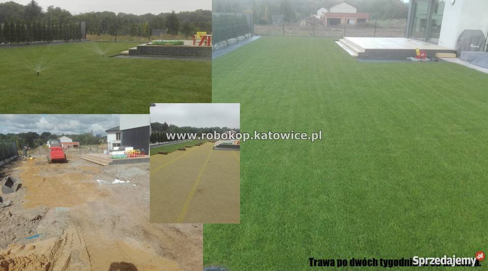 Automatyczne nawadnianie ogrodów zakładanie Katowice usługi budowlane