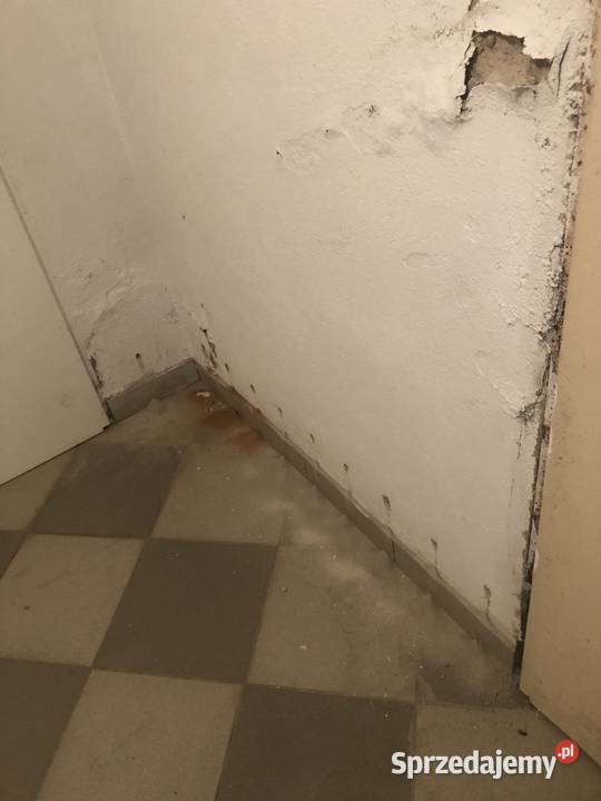 Iniekcja Szczecin Stargard Gryfino Gorzów zachodniopomorskie