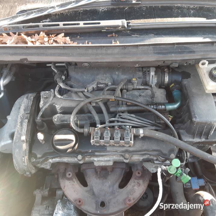Peugeot 307 16 benzyna 07r czesci całość benzyna+LPG Motoryzacja lubelskie Biała Podlaska