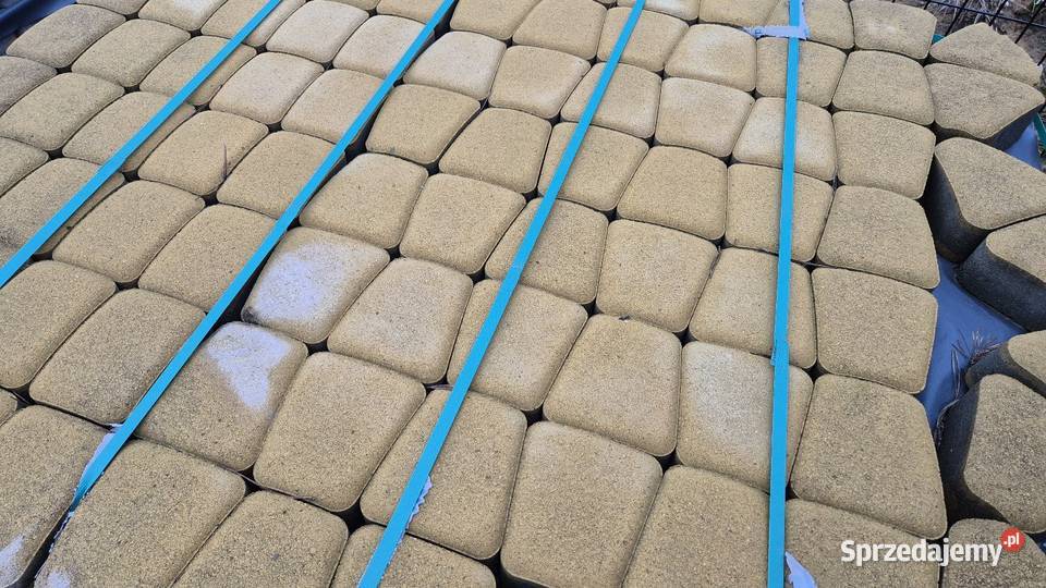 Starobruk rzymski żółty