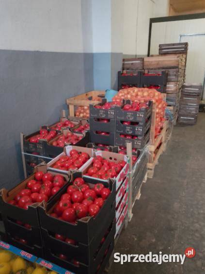 Sprzedam Hurtownie Warzyw Owoców Gotowy Biznes Kłobuck
