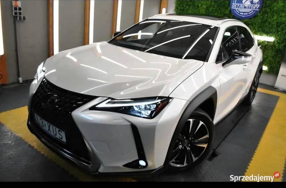 Lexus UX 250H Omotenashi Mark Levinson premium Lublin