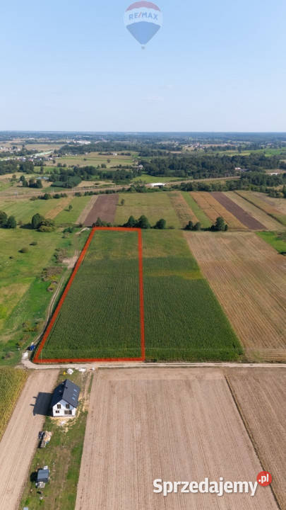 Działka siedliskoworolna 1ha Rębków kGarwolina