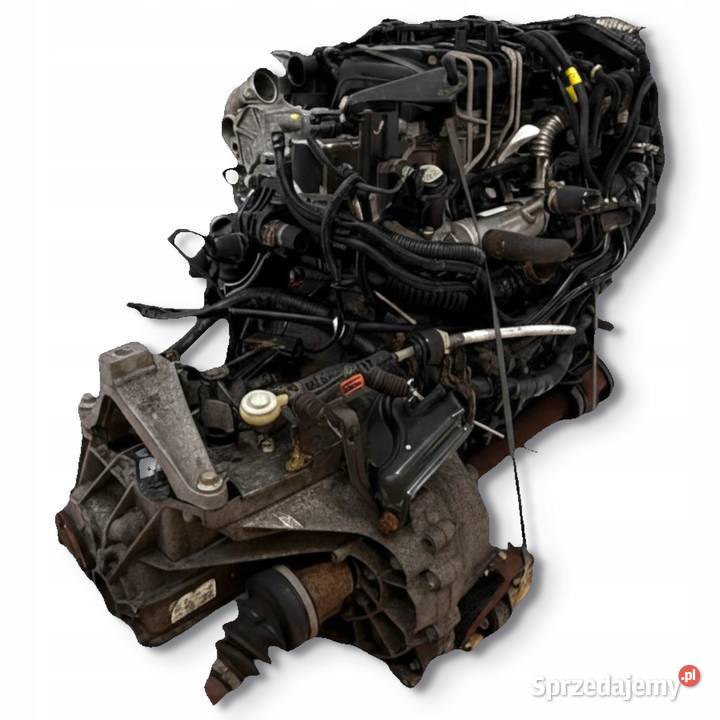 SILNIK G8DB Ford Focus II MK2 C 16 TDCI 109 osobowe Chełm sprzedam