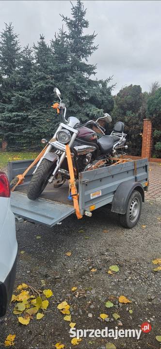 Hyosung gv650 2011r Żnin