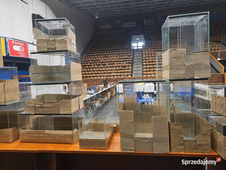 Terarium szklane różne wymiary zachodniopomorskie Koszalin sprzedam