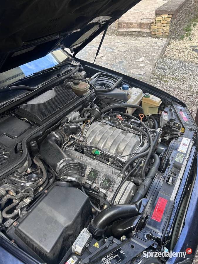 Audi a8 d2 37 V8 Toruń