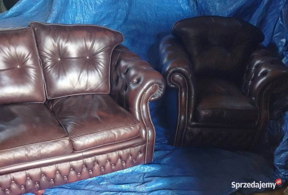 Chesterfield angielski lubelskie Biała Podlaska