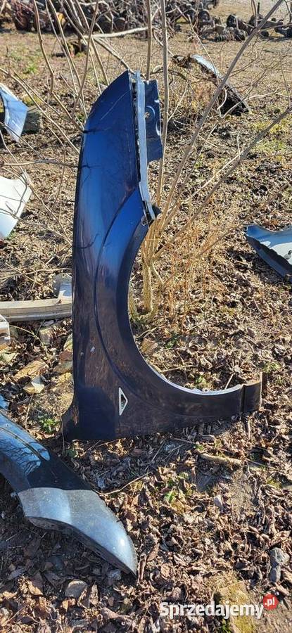 Błotnik Lewy Prawy Ford Mondeo MK2 Srebrny i Błotniki małopolskie Żabno