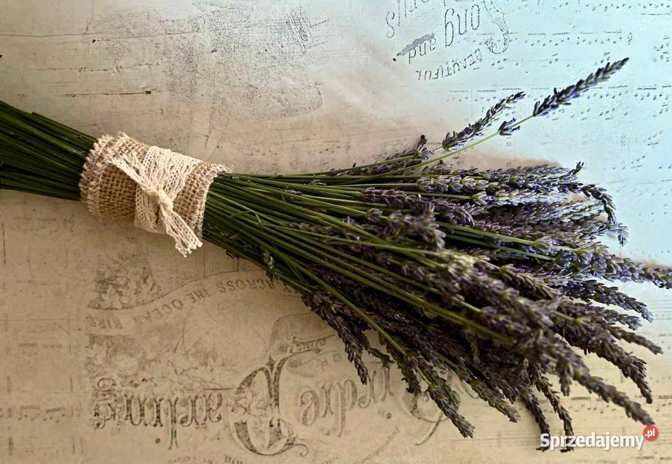 Bukiety lawendowe dekoracje kompozycje kwiatowe