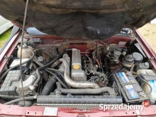 opel frontera 23 td Nysa