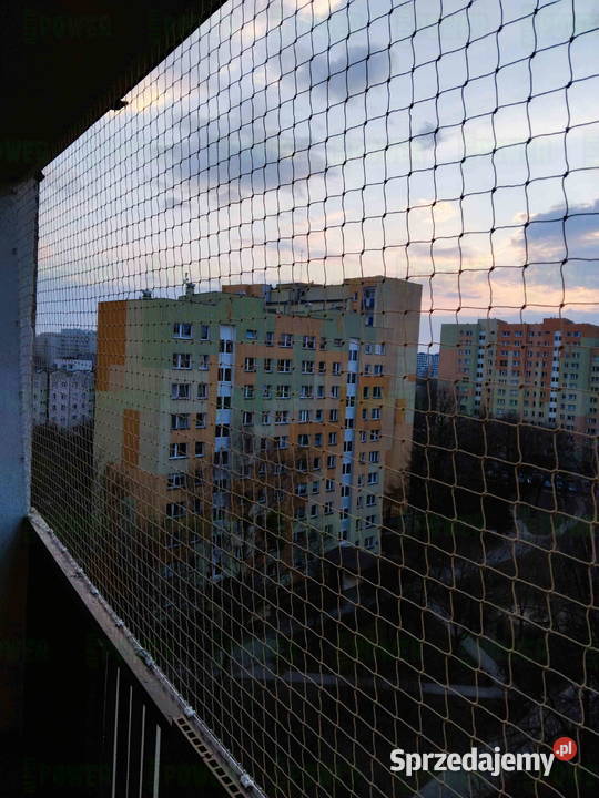 Założenie siatki na balkon kotów Warszawa Siatka usługa dla zwierząt