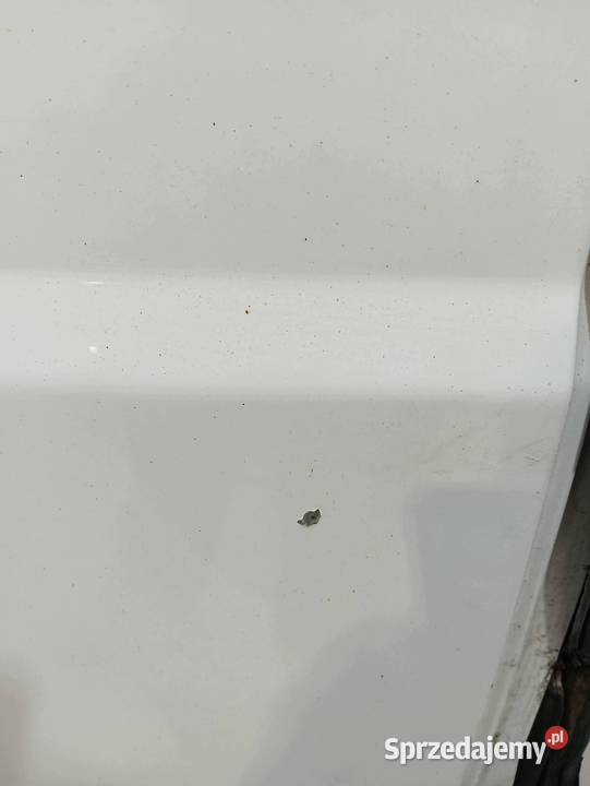 DRZWI LEWE TYŁ BIAŁE LIFT Fiat Ducato III 2007