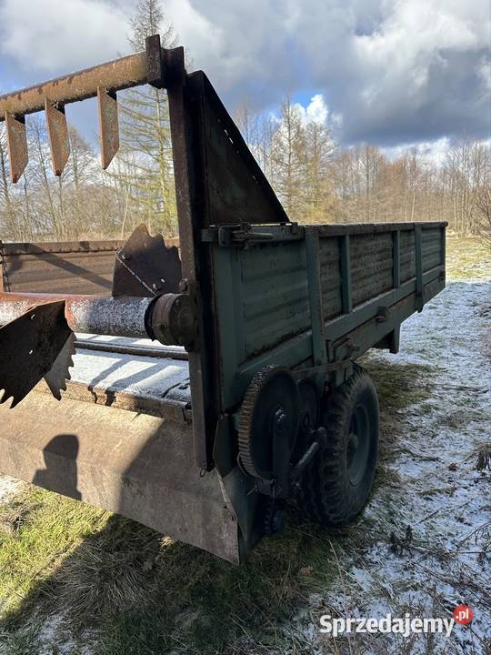 Burty rozrzutnika nieuszkodzony Zendek