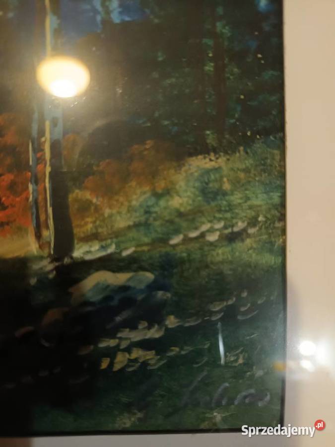 Widok morskiego oka wczesna jesień Bielsko-Biała
