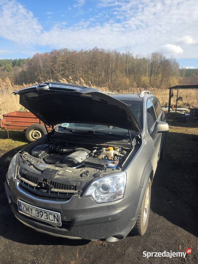 Antara tanio Barlinek