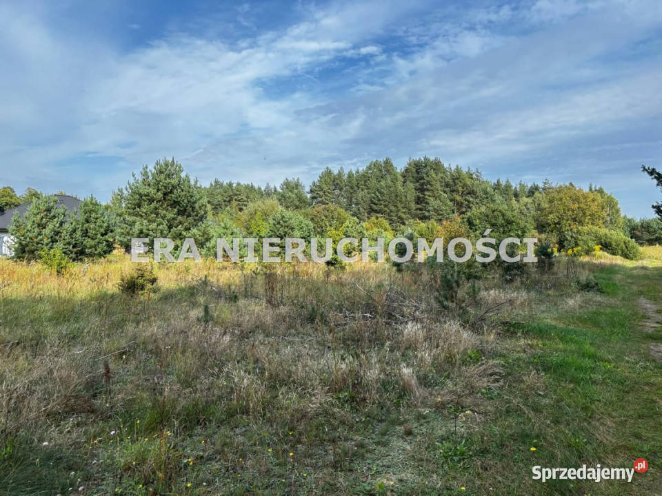 Grunt Porosły 4450 metrów budowlana Sprzedaż podlaskie
