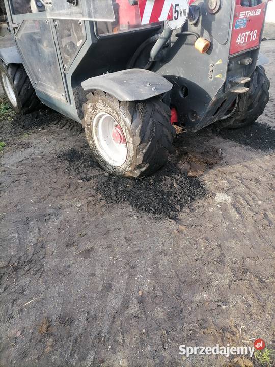 Ładowarka teleskopowa thaler miniładowarka Dobrzyniewo Duże