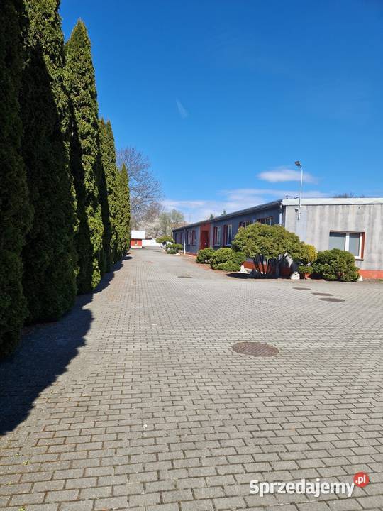 Hale magazynowoprodukcyjne z częścią biurową Miechów