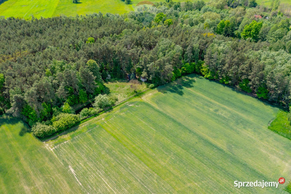 Budowlana 2300 m ze stawem i zielenią Sprzedaż Góry Prusinowskie sprzedam
