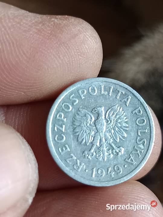 Sprzedam 10 groszy 1949 Chełm