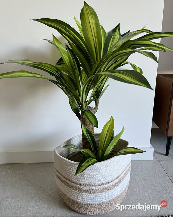 sztuczna dracena w doniczce palma 73 roślina