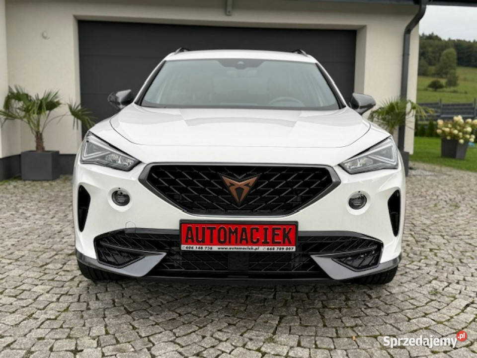 Cupra Formentor 15 TSi 150 AMBIENTE ALU 19 NOWE biały Kamienna Góra sprzedam