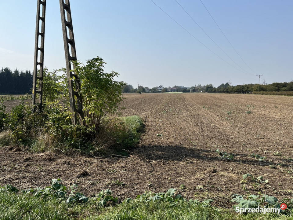 Działka rolnobudowlana 062 ha w Gołębiu kPuław Gołąb sprzedam