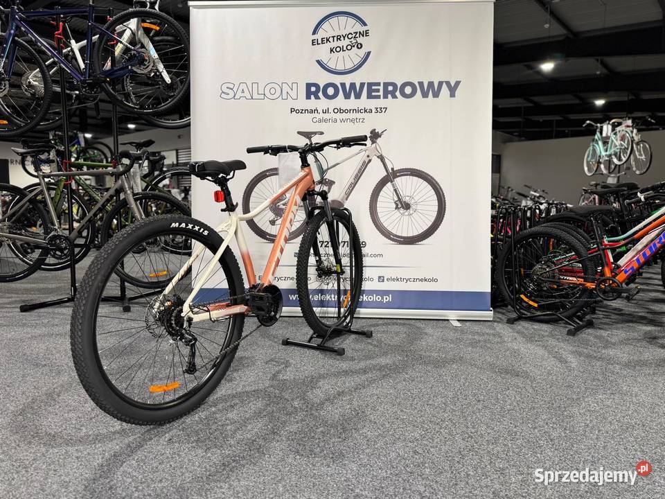Rower MTB Storm SHARK 29 LADY 30 Rama 18 Raty 0 Poznań