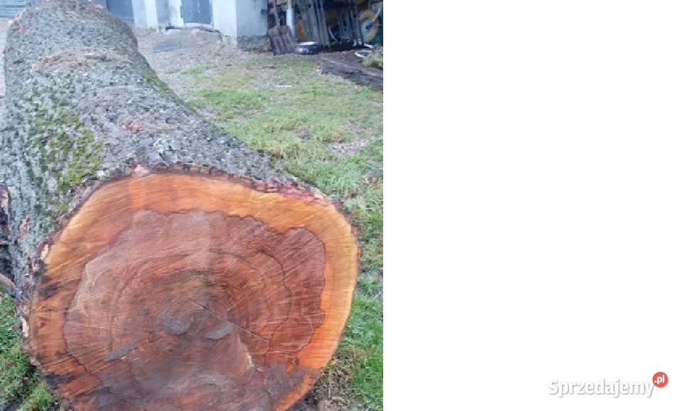 Jesion tartaczny dl 4m szer 1m Opał Bartoszyce