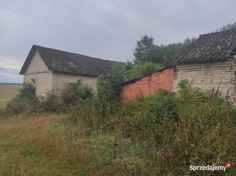 Zabudowania Teresin gm Leśniowice ziemia 60m2 Chełm