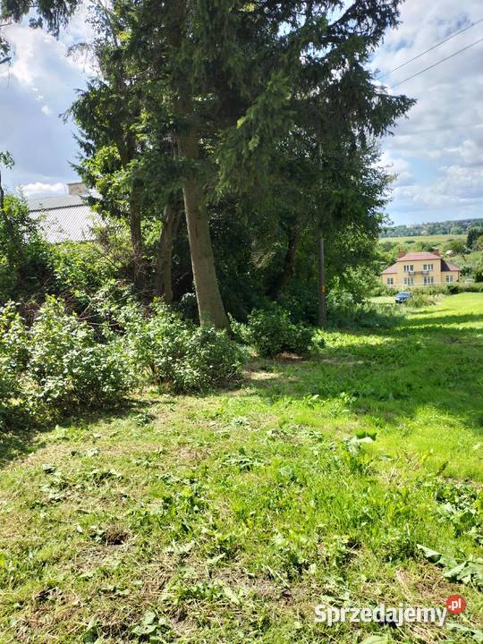 Sprzedam działkę lubelskie Krasnystaw