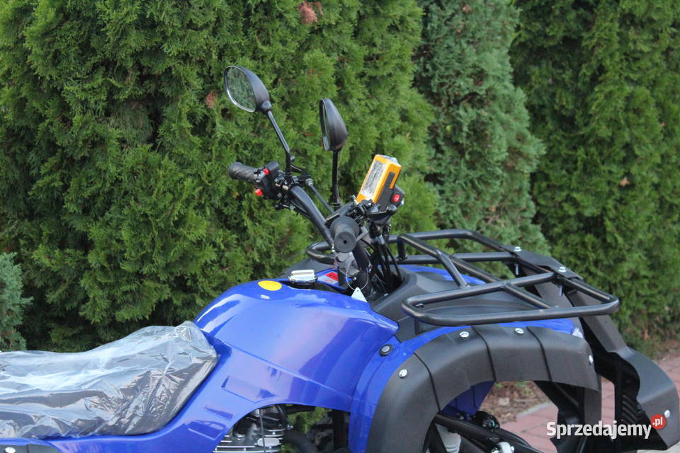 Quad 250 cc 4t Hammer Shinerau Bashan benzyna 1km zachodniopomorskie Goleniów