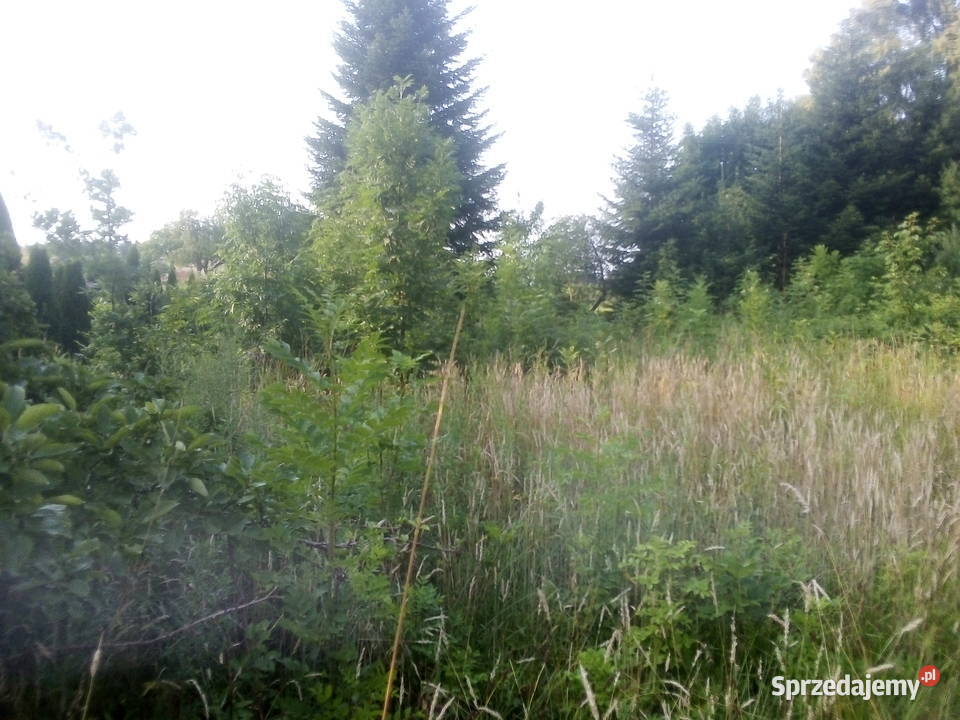 Działka w Barłominie k Luzina prąd pomorskie Barłomino