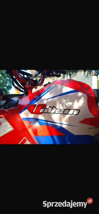 Qad automatyczna Osetnica