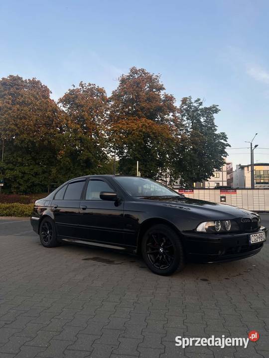 Bmw e39 Toruń
