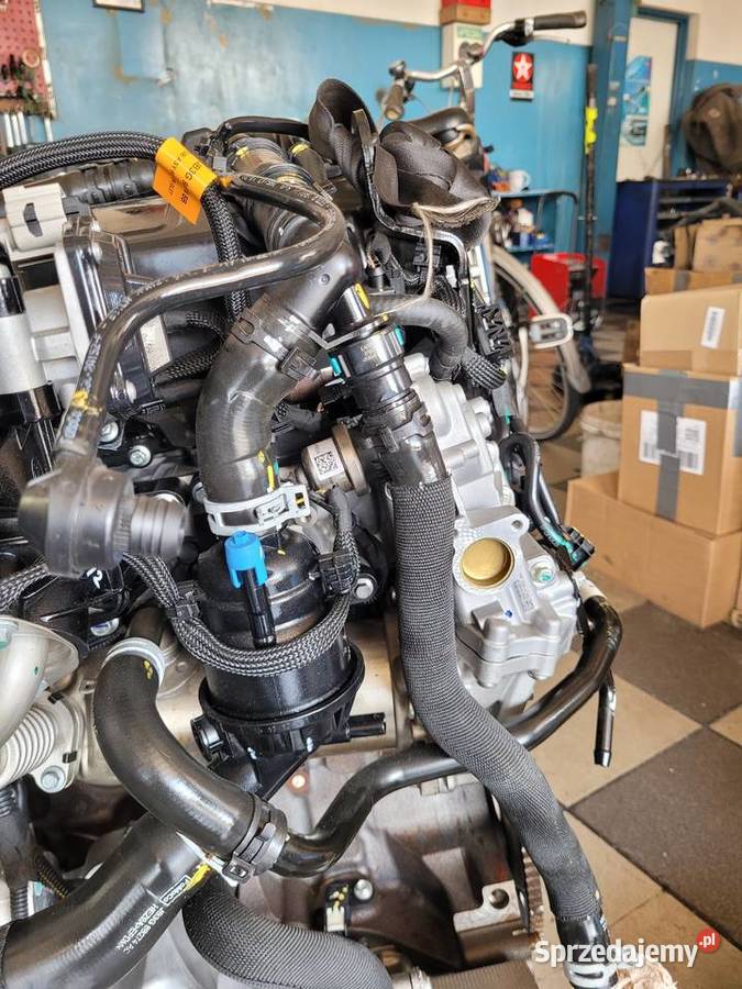 Silnik Ford Transit YMR6 YLF6 YLCA YMFS YMF6 sprzedam