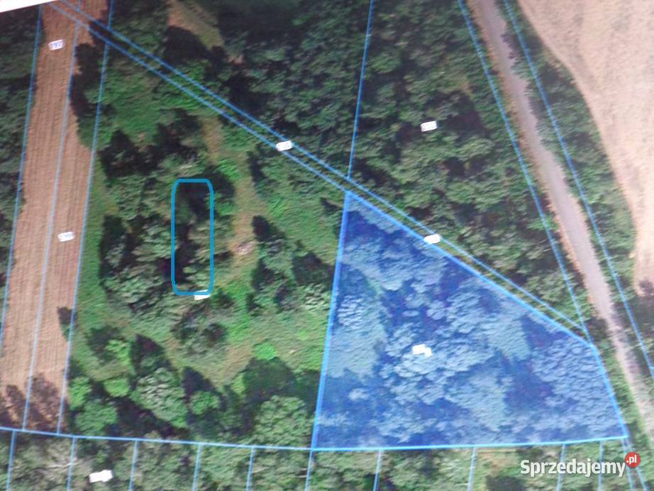 Działka do zabudowy dojazd asfalt 15 m Siedlce mazowieckie Czołomyje